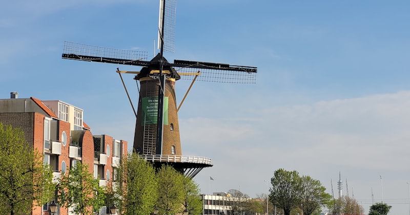 Dutch for Beginners: How to Start Learning Dutch from Zero