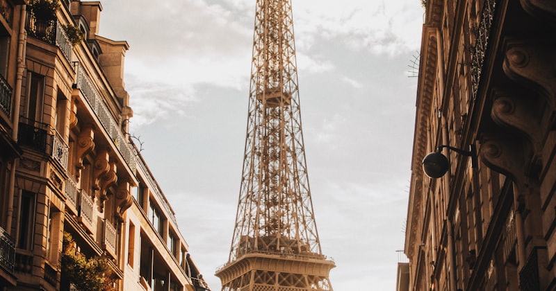 Learn French for Moving to France: Bureaucracy & Daily Phrases