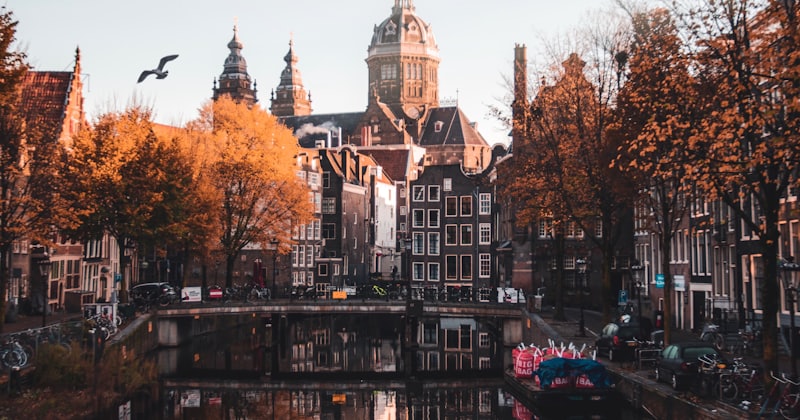 Moving to the Netherlands? The Dutch You Actually Need First