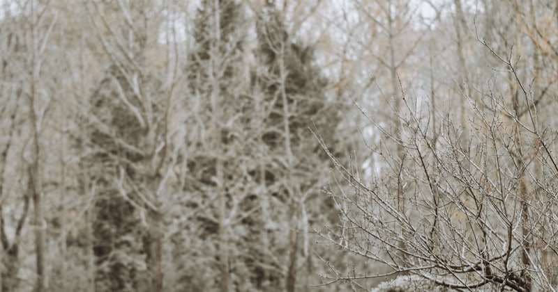 5 Real-Life Situations Every Immigrant Should Practice Before Moving